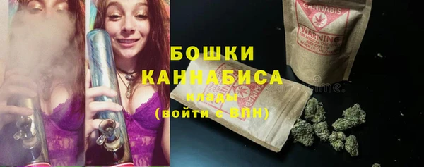 соль ск Вяземский