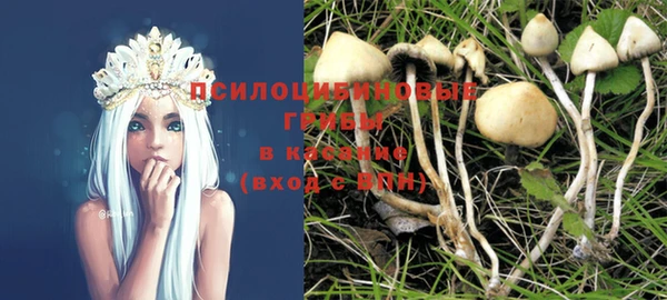 соль ск Вяземский