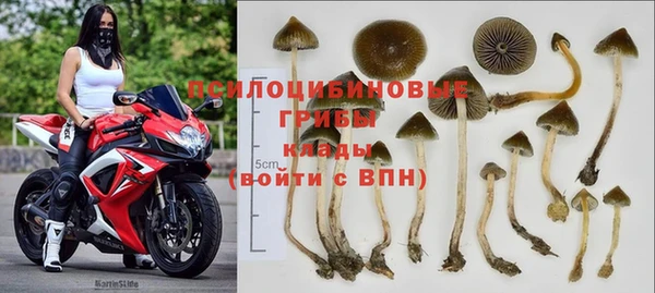соль ск Вяземский