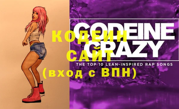 соль ск Вяземский