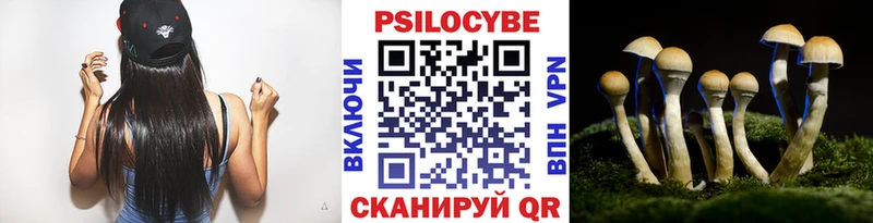 Псилоцибиновые грибы Cubensis Строитель