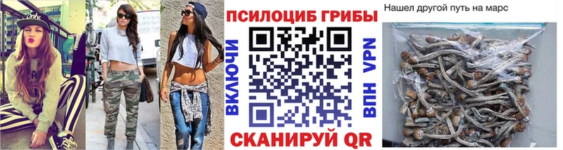 Галлюциногенные грибы Cubensis Купить Строитель