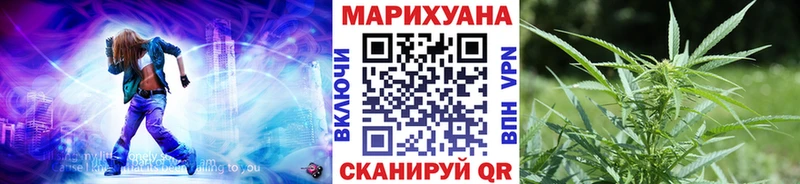 Купить где  Строитель  Каннабис OG Kush 